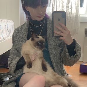 Meet your Posher, Amelia